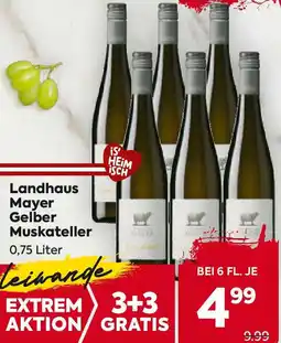 Billa Mayer Gelber Muskateller Angebot