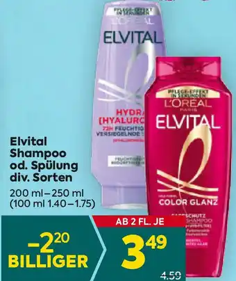 Billa Shampoo od. Spülung Angebot