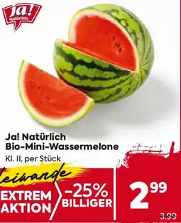 Billa Bio-Mini-Wassermelone Angebot
