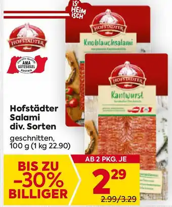 Billa Hofstädter Salami Angebot
