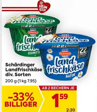 Billa Landfrischkase Angebot