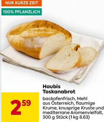 Billa Haubis Toskanabrot Angebot