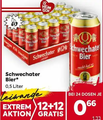 Billa Schwechater Bier Angebot
