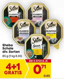 Billa Schale Angebot