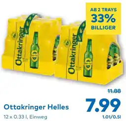 T&G Ottakringer Helles Angebot