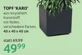 Bellaflora Topf'karo' Angebot