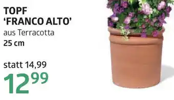 Bellaflora Topf franco alto Angebot