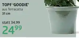 Bellaflora Topf goodie Angebot