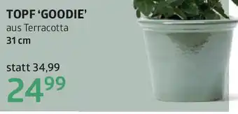 Bellaflora Topf goodie Angebot