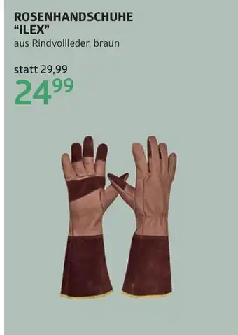 Bellaflora Rosenhandschuhe ilex Angebot
