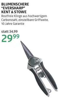 Bellaflora Blumenschere eversharp Angebot