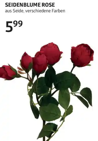 Bellaflora Seidenblume rose Angebot