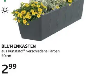 Bellaflora Blumenkasten Angebot