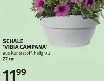 Bellaflora Schale 'vibia campana Angebot