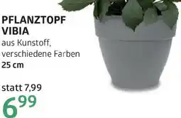 Bellaflora Pflanztopf vibia Angebot