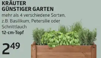 Bellaflora Kräuter günstiger garten Angebot