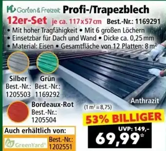 Norma Profi-/Trapezblech Angebot