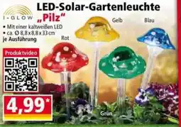 Norma LED-Solar-Garten-Leuchte Pilz Angebot
