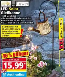 Norma LED-Solar-Gießkanne Angebot