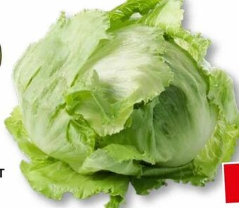 SPAR Gourmet Eisbergsalat Angebot