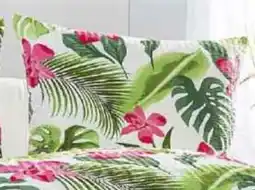 Norma 1 Kissen 1 Bezug Angebot