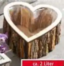 Norma Holz-Pflanzherz Angebot