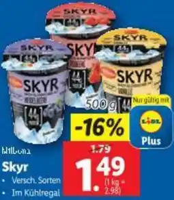 Lidl Skyr Angebot