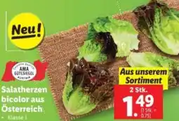 Lidl Salatherżen bicolor Angebot