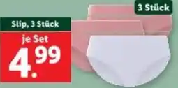 Lidl Damen Ripp-Unterwäsche Angebot