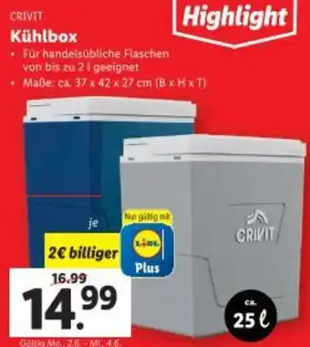 Lidl Kühlbox Angebot