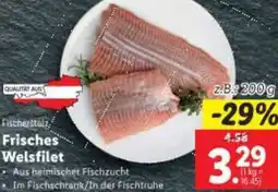 Lidl Frisches Welsfilet Angebot