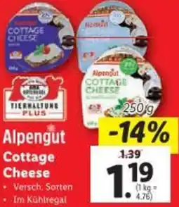 Lidl Cottage Cheese Angebot