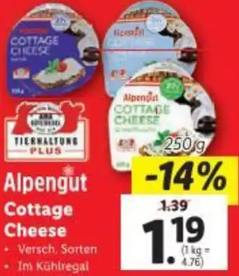 Lidl Cottage Cheese Angebot