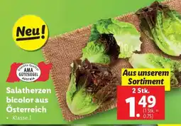 Lidl Salatherzen bicolor aus Österreich Angebot