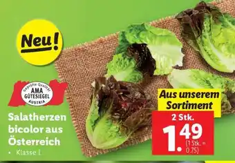 Lidl Salatherzen bicolor aus Österreich Angebot