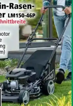 Norma Scheppach Benzin-Rasenmäher LM150-46P Angebot