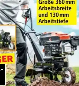 Norma Einhell Benzinmotorhacke MTP370 Angebot