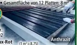Norma HC Garten & Freizeit Profi-Trapezblech Angebot