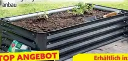 Norma HC Garten & Freizeit Gartenbeet Angebot