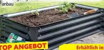 Norma HC Garten & Freizeit Gartenbeet Angebot