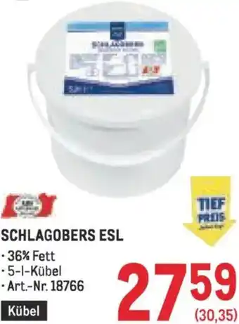 Metro Schlagobers esl Angebot