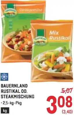 Metro Rustikal od. steakmischung Angebot