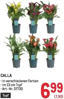 Metro Calla Angebot