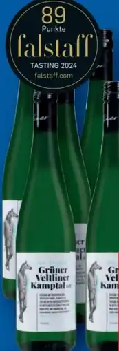 Lidl Weingut Toifl Grüner Veltliner Kamptal Angebot