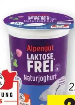 Lidl Alpengut Naturjoghurt Angebot