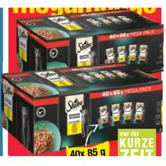 Maximarkt Katzennahrung versch. Sorten Maximarkt Angebot