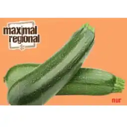 Maximarkt Zucchini Maximarkt Angebot