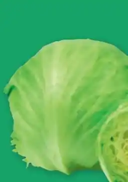 PENNY Ich bin Österreich Eissalat Angebot