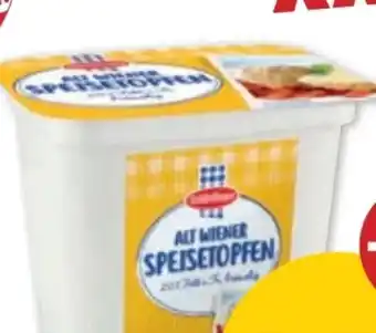 PENNY Schärdinger Alt Wiener Speisetopfen Angebot