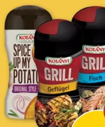 PENNY Kotányi Grilldose Angebot